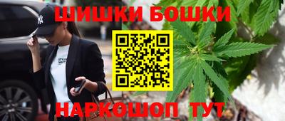 apvp Камышлов